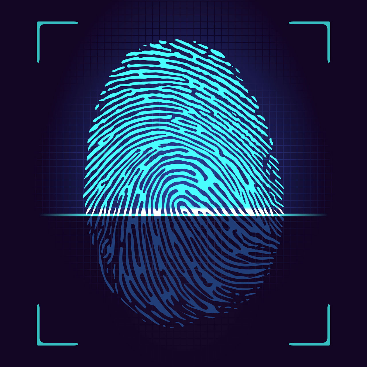 Biometric security flaws