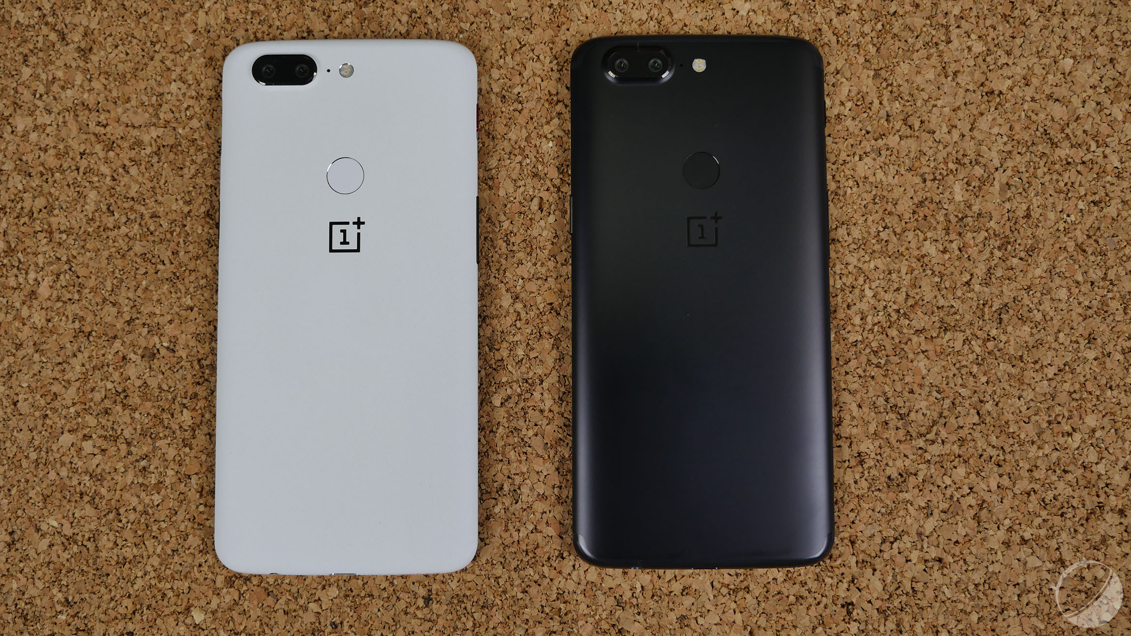 The OnePlus brand offers a premium for every security flaw discovered in its system