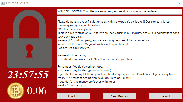 Bilan des attaques informatiques en 2019 : le ransomware largement en tête