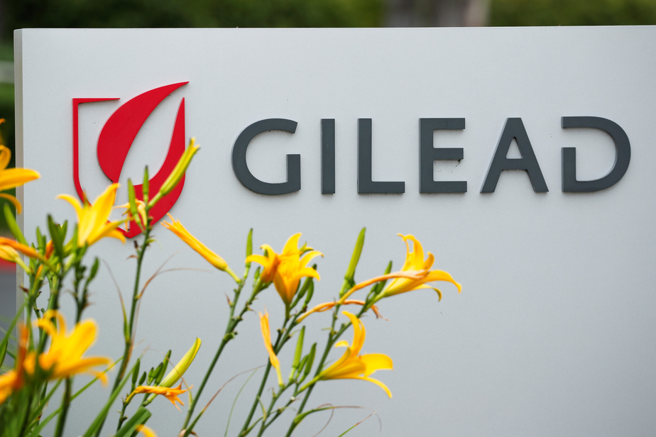 Pharmaceutical group Gilead targeted by computer attack