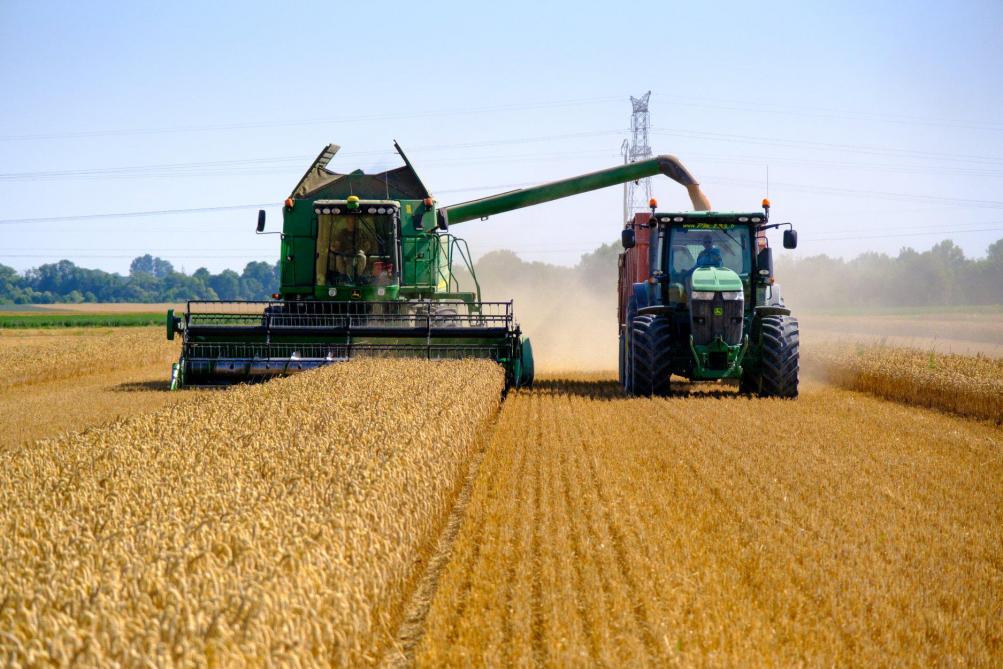 The agricultural sector to the test of cybercrime